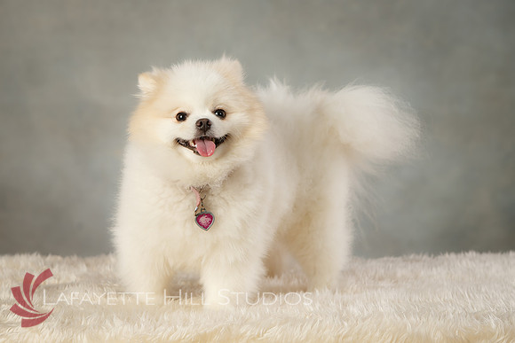 Kaye_0044