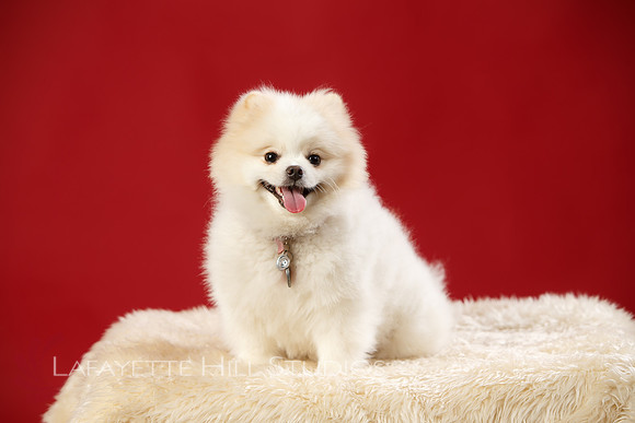 Kaye_0024