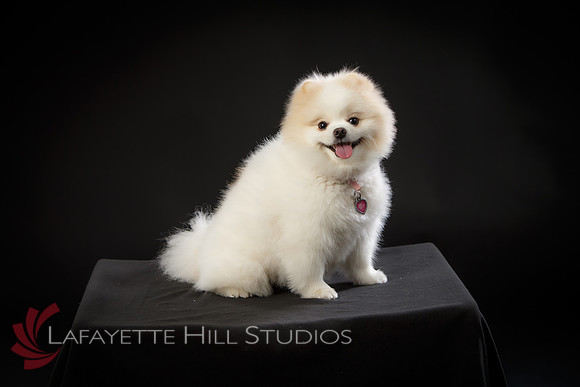 Kaye_0018