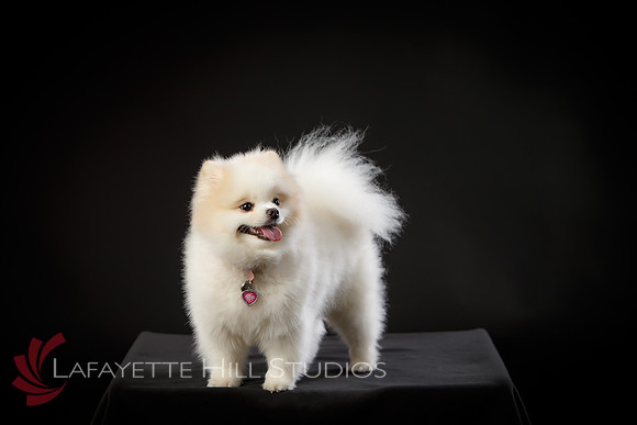 Kaye_0001