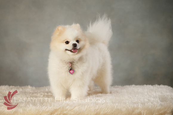 Kaye_0045