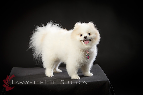 Kaye_0022