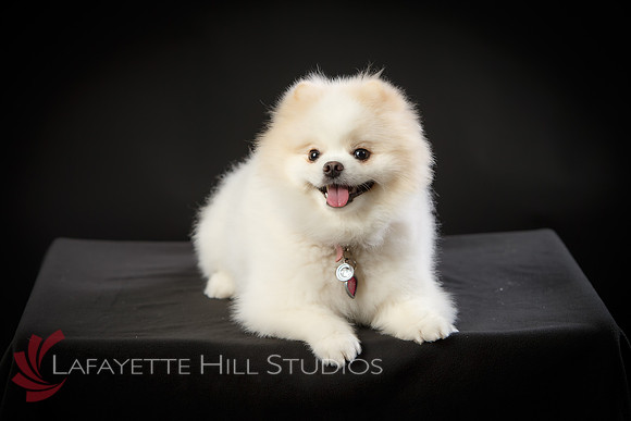 Kaye_0010