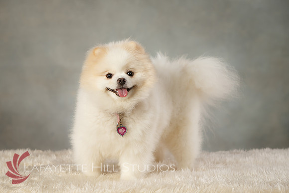 Kaye_0043