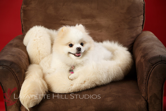Kaye_0037