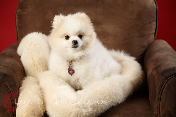 Kaye_0033