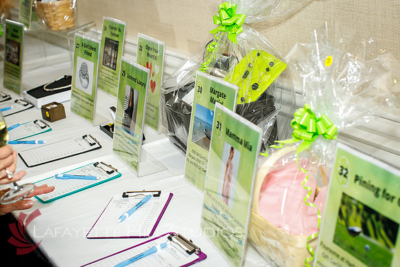 JAFCO-Cocktails For a Cause _0137