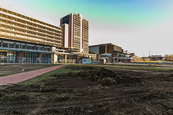 Brightview_0027