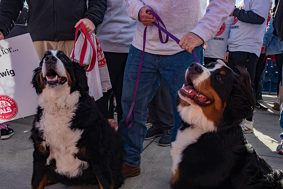 ALS-Walk_0214