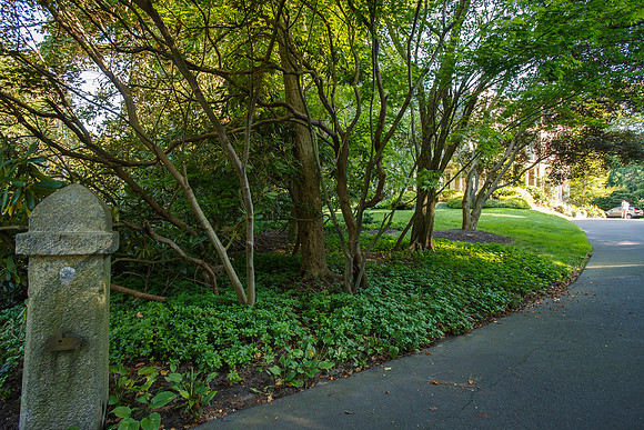 BurkeBrothers_0091