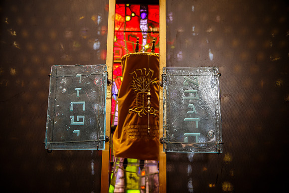 Lifshutz_0217