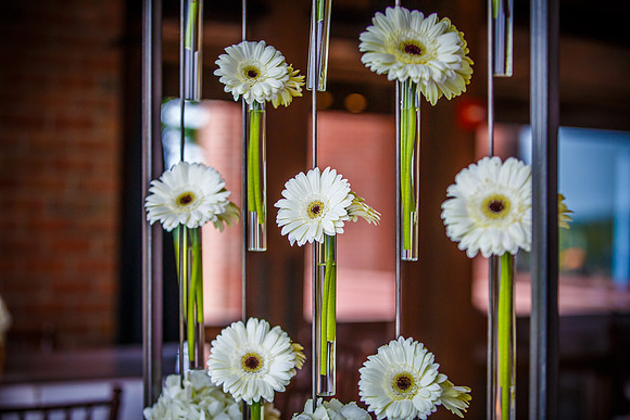 Lifshutz_0259