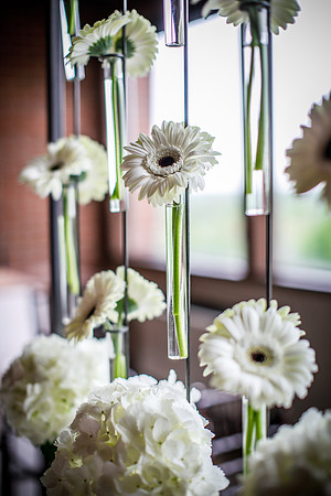Lifshutz_0266