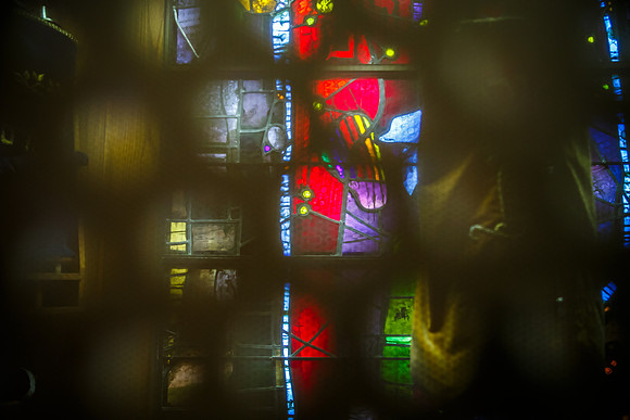 Lifshutz_0228
