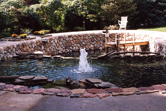 Kelly_012b