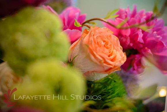 Fenton_0373