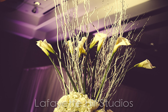 086_LHS_8053
