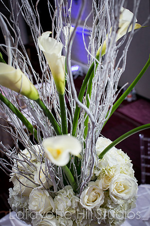 182_MFS_6081