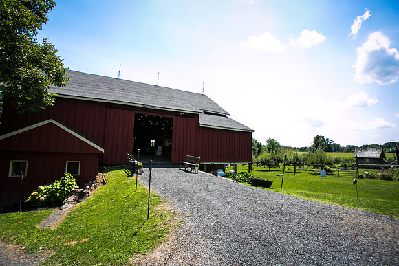 0043FinalEdit_0124_LHS_0033