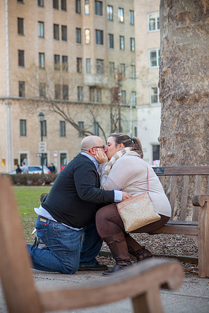 Baron_Proposal_0023