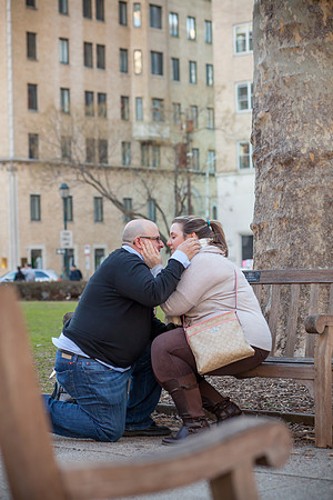 Baron_Proposal_0024