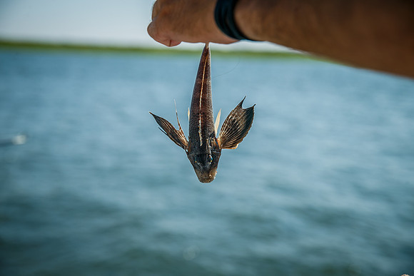 Levit-Fishing-2016_0044