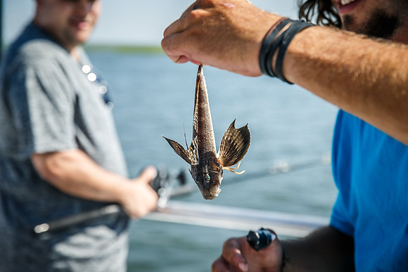 Levit-Fishing-2016_0043
