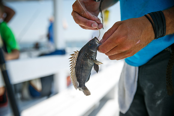 Levit-Fishing-2016_0207