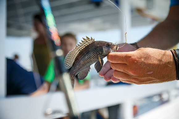 Levit-Fishing-2016_0208