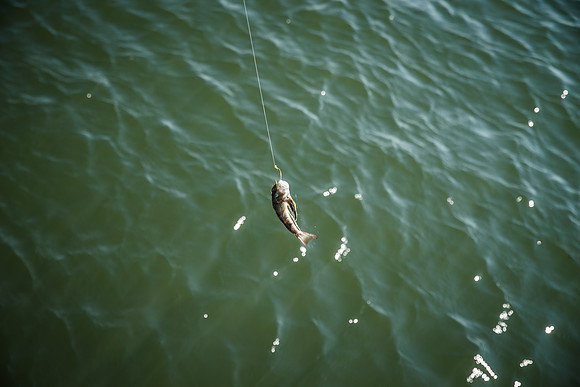 Levit-Fishing-2016_0041