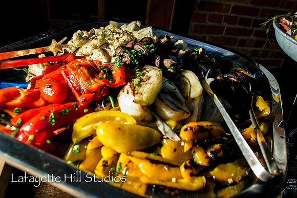 055_STARR_LafayetteHillStudios
