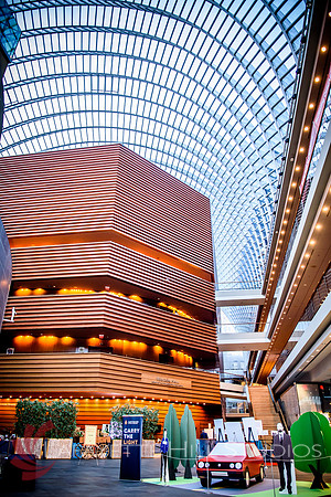 Jewish_federation_0009