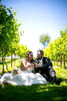 Sherri & Ryan @ Rosebank Winery