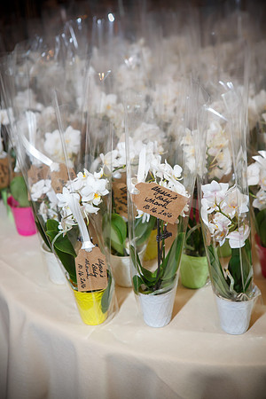 Maltepes_0003