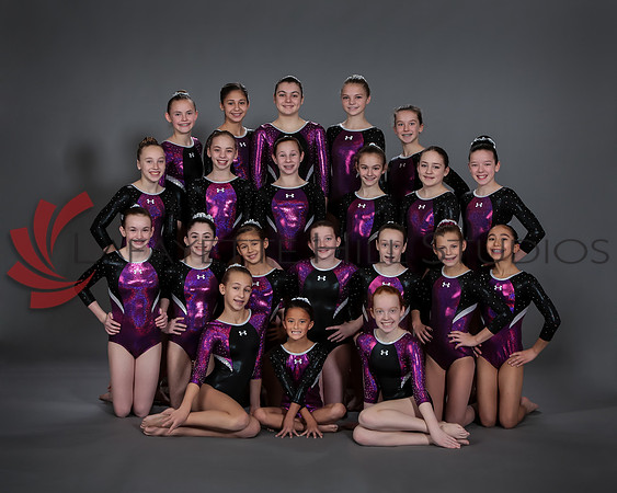 Spirit_Gymnastics_Level_6_MFS_0666_0002