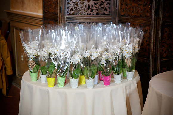 Maltepes_0001