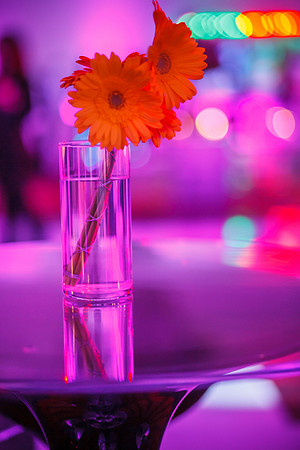 HHH_Showcase_-0039