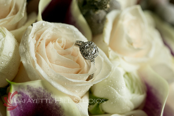 Dargie_0024