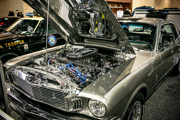 Autoshow-Crowd Shots_0049