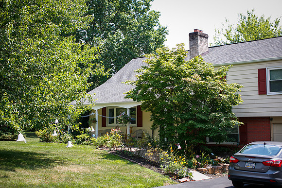 Hibschman_0004