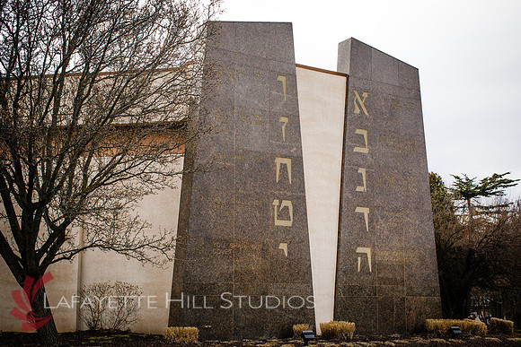 Nydish_0003