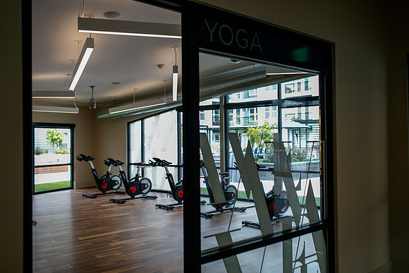 Jewish Fed-AVE Korman_0049