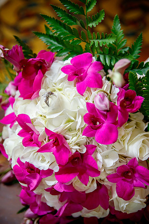Gentry_0107