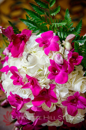 Gentry_0107