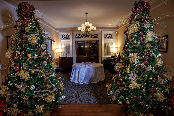 Holly Ball-2022_0002