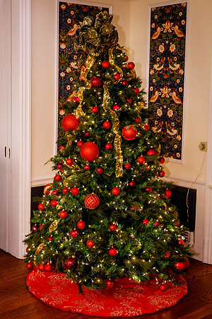 Holly Ball-2022_0009