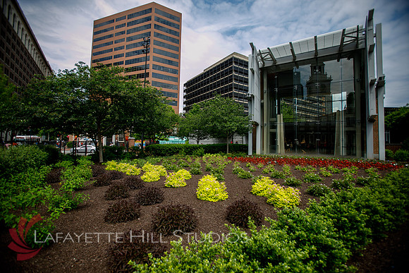 Brightview_1086