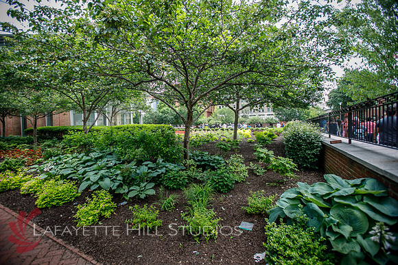 Brightview_1153
