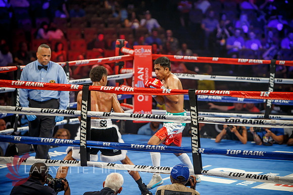 Boxing-0470