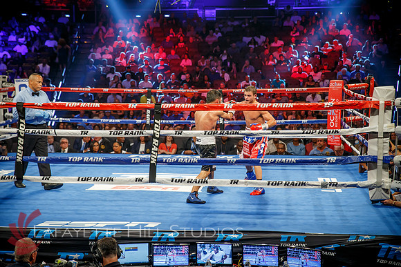 Boxing-0451
